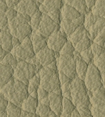 beige / light sand (A351, A951, AA51, 9351, 9951, 9A51, 8G5A, 895A, 835A, 8A5A, 885A)